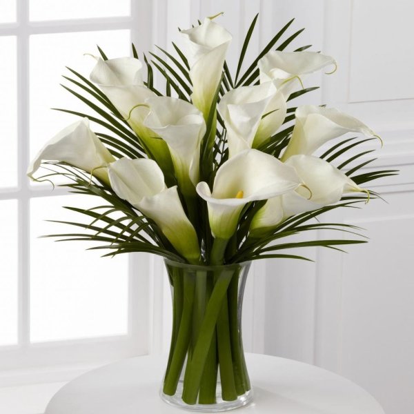 Коалы цветы