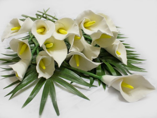 Букет "каллы и Краспедия"