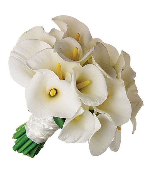 Калла Аваланж