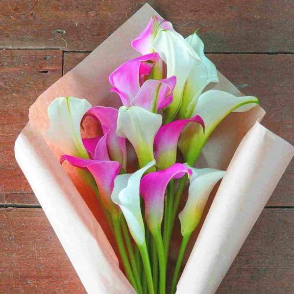 Красивый букет калл