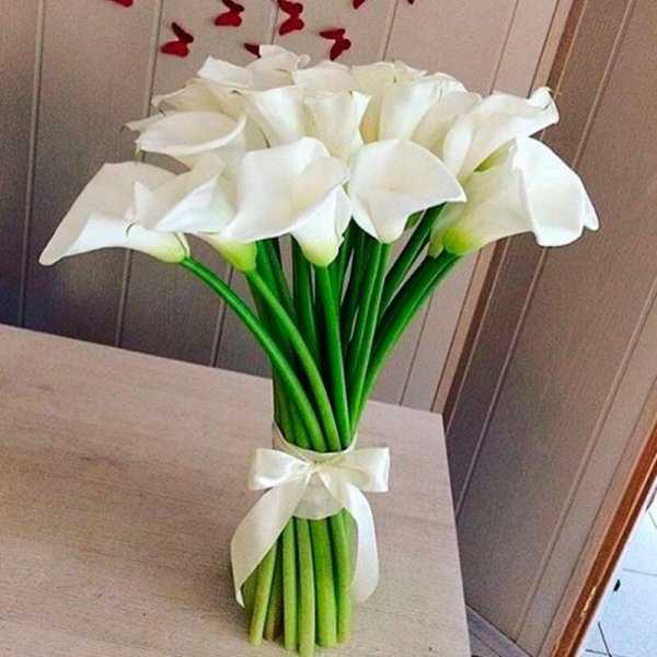 Красивый букет калл