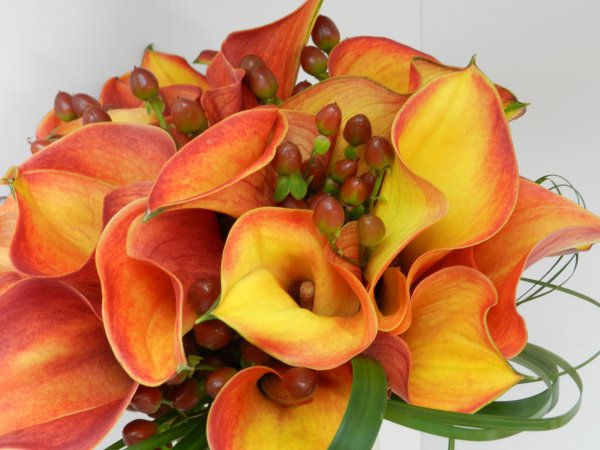 Букет с оранжевыми каллами