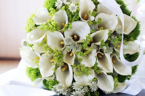 Огромный букет калл