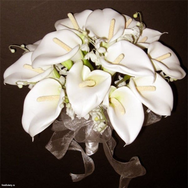 Цветы каллы белые букет