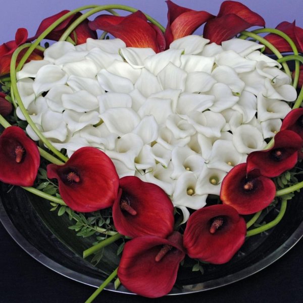 Каллы цветы букет