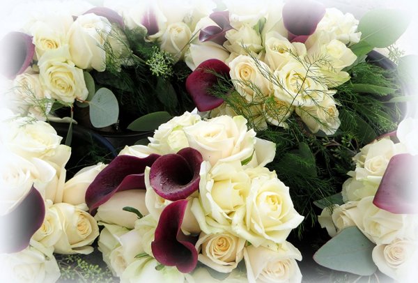 Красивый букет каллы и розы