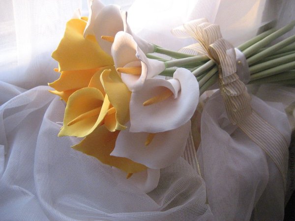 Нежные каллы