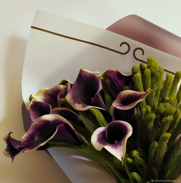 Калла Пикассо