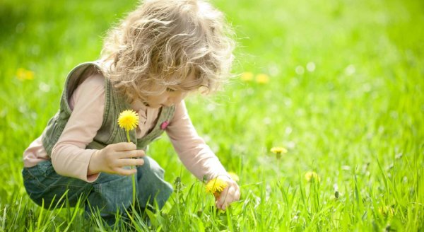 Мальчик собирает цветы