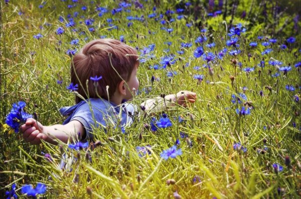 Художница Дона Гельсингер дети