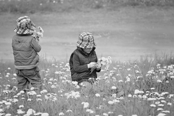 Дети на Поляне иллюстрация