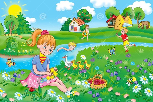 Ромашковое поле в деревне