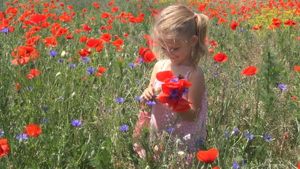 Букет "мальчик"