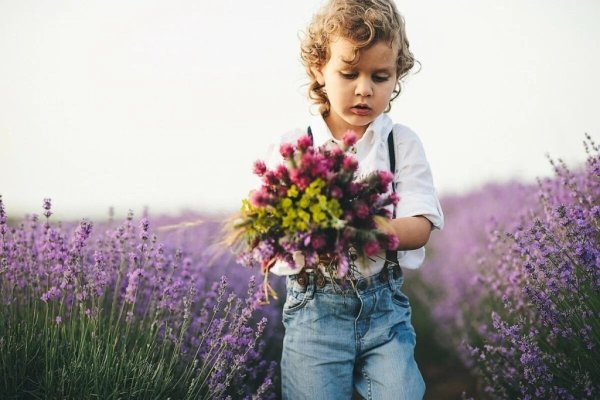 Собирать цветы