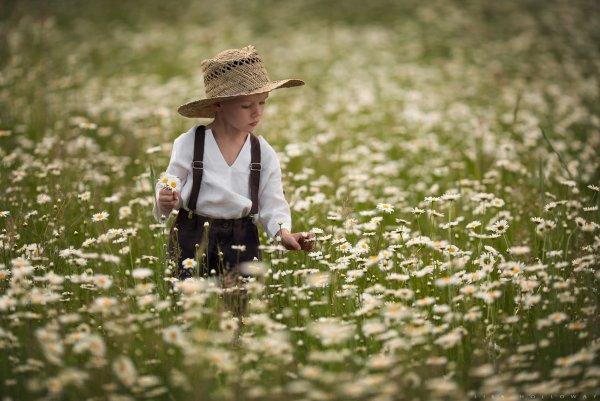 Девушка на Поляне картина