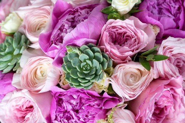 Лютики пионовидные