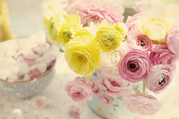 Цветы лютики-ранункулюсы букет