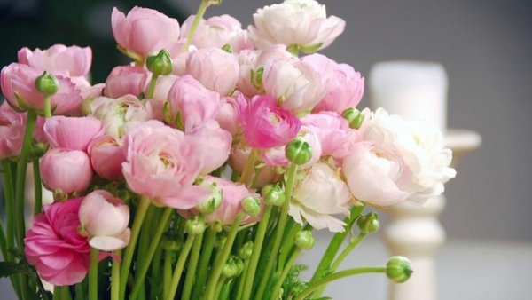 Лютик азиатский букет