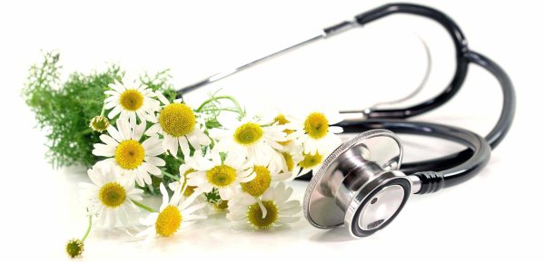 Фонендоскоп и цветы