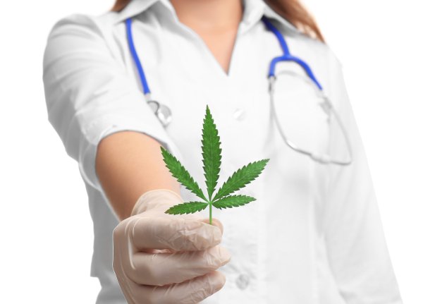 Доктор Айболит