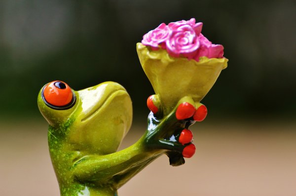 Лягушка на цветке