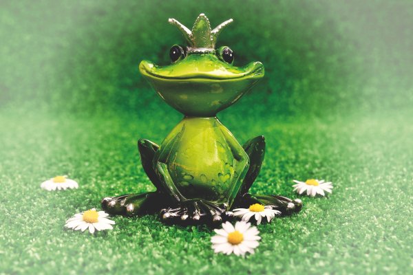 Лягушонок под дождем