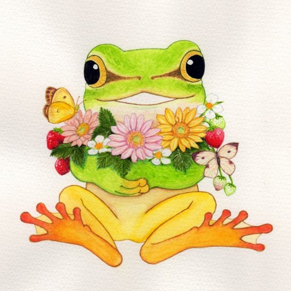 Оранжевобокая квакша