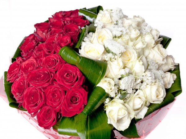 Цветы букеты композиции