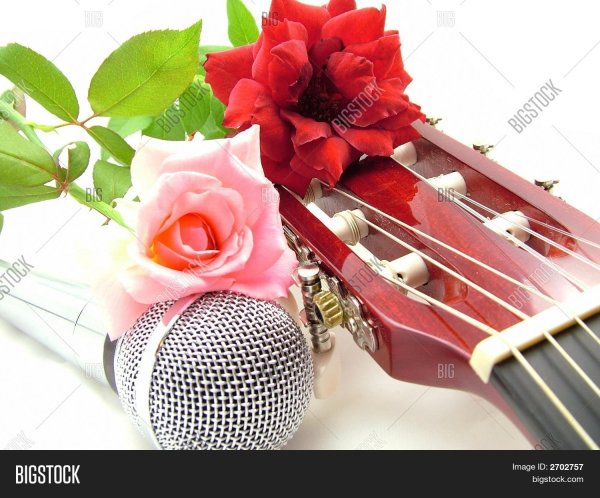 Микрофон с нотками