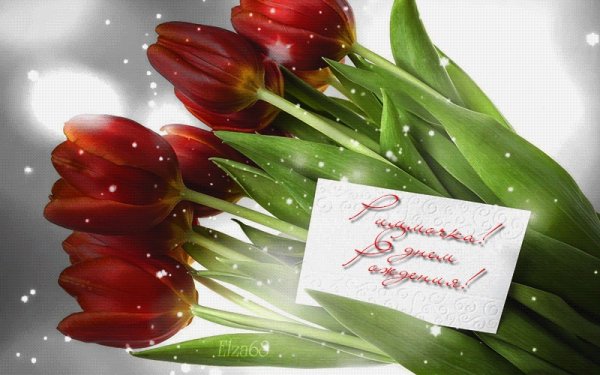 С днём рождения тюльпаны
