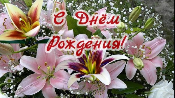 С днём рождения лилии