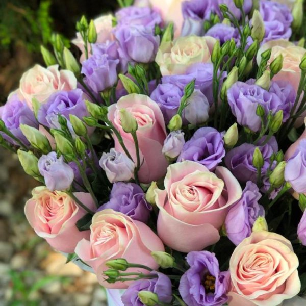 Лизиантус с розами