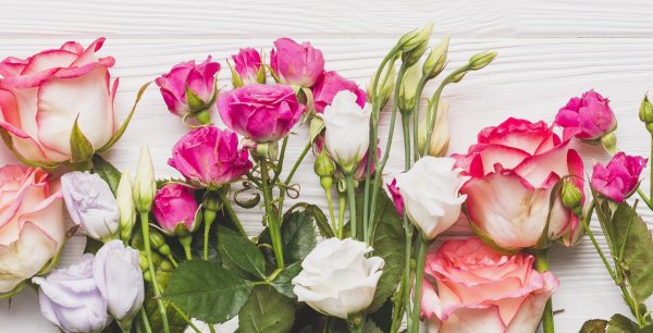 Розы срезанные