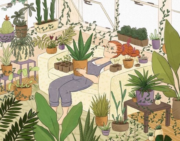 Шутки про цветоводов