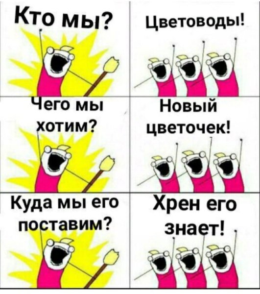 Кто мы дети