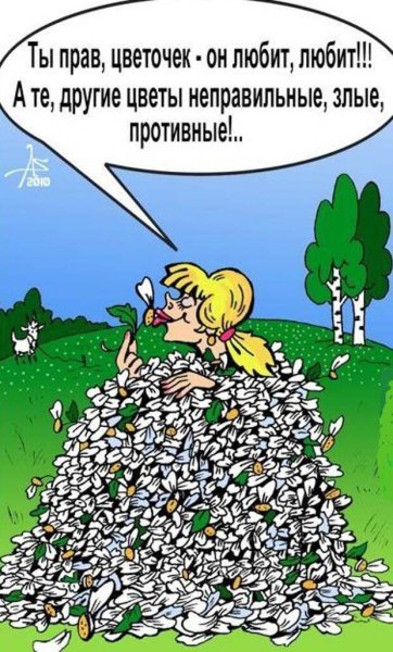 Анекдоты про цветы