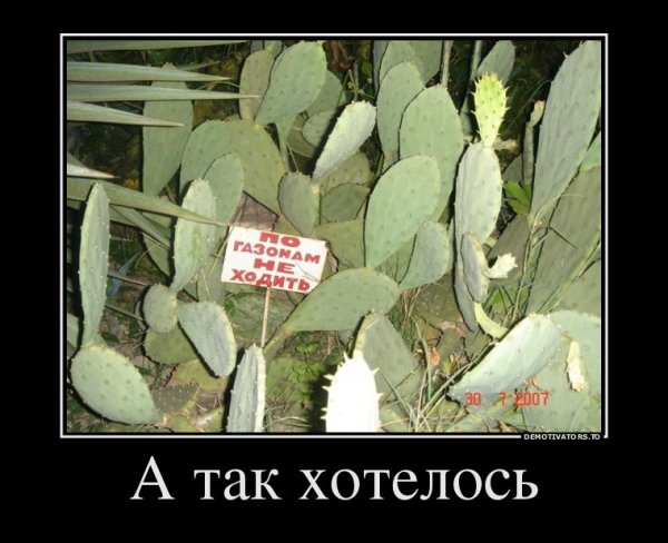 Анекдоты про растения и цветы