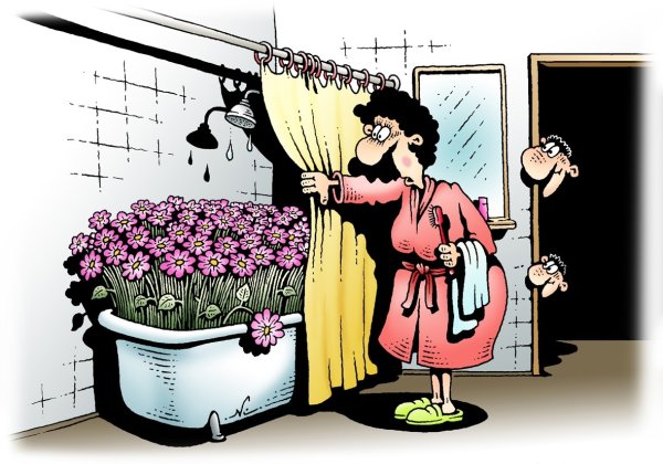 Карикатуры смешные