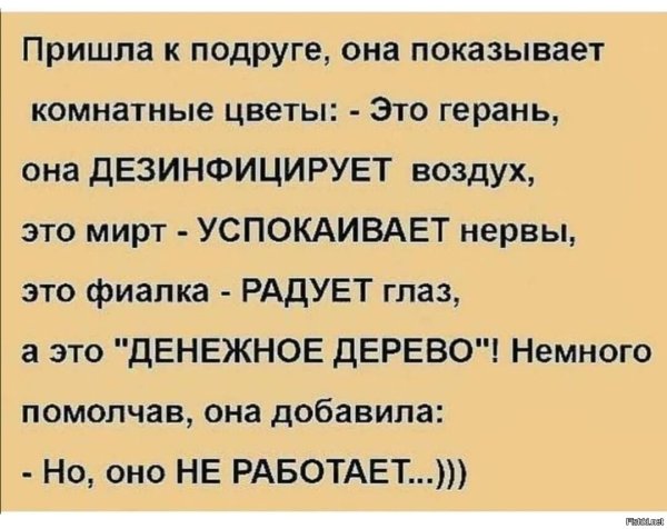 Анекдоты про цветы