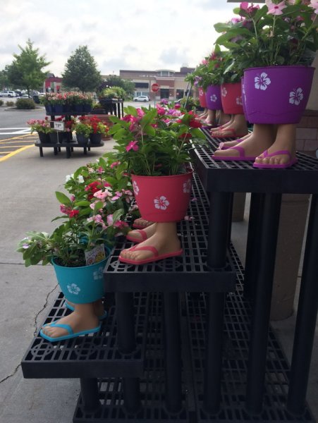 Юмор с цветами