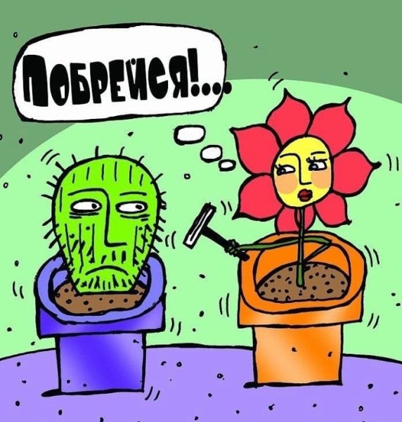 Приколы про цветы