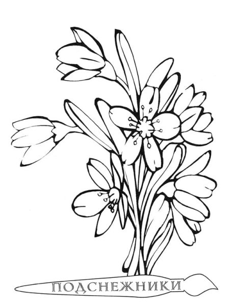 Весенние цветы раскраска