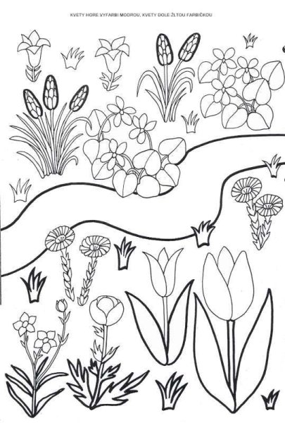 Раскраска цветы первоцветы