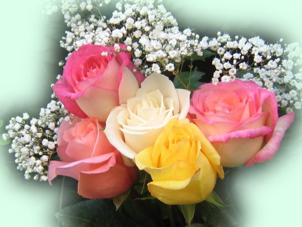 Красивый букет для надежды