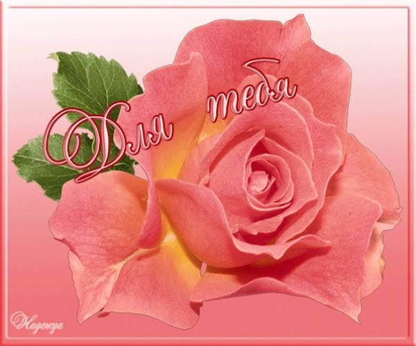 Наденьке цветы