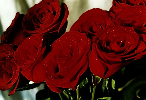 С днём рождения Наталья розы