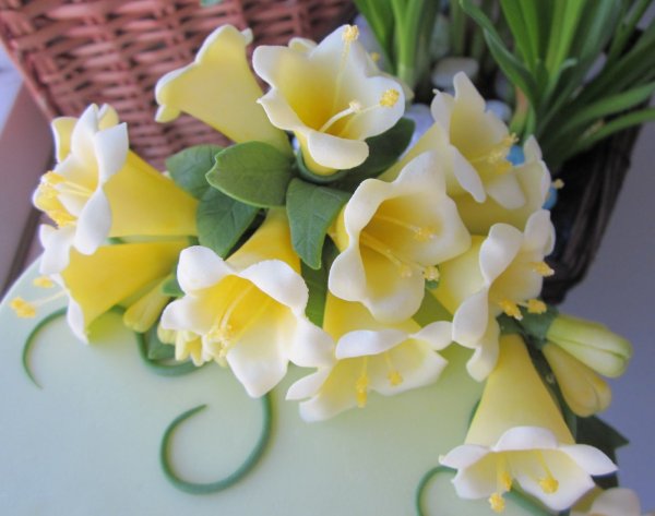 Торт с мастичными розами