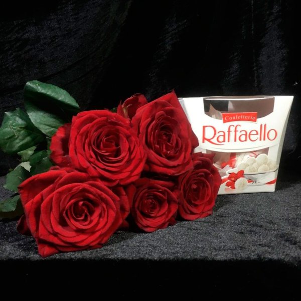 Рафаэлло роза