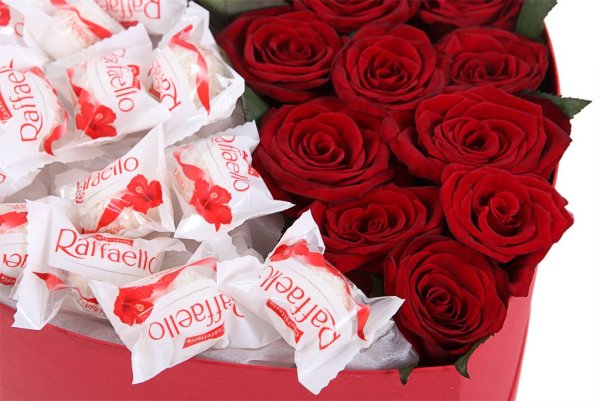 Рафаэлло роза