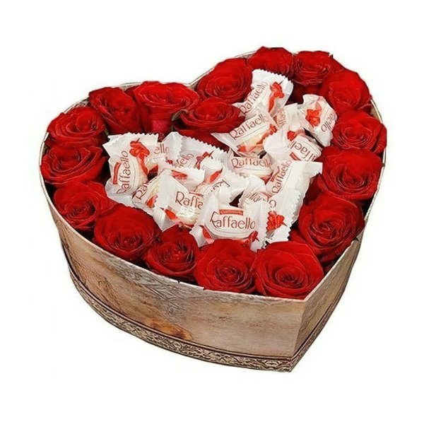 Роза сорт Рафаэлло